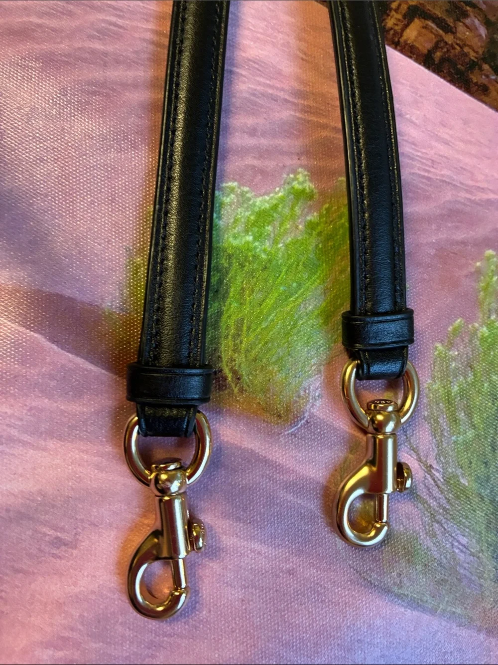 Coach Black Smooth Leather Strap with Gold Hardware.